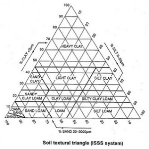 Detail Segitiga Tekstur Usda Nomer 5