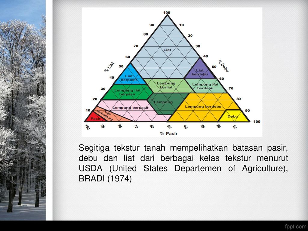 Detail Segitiga Tekstur Usda Nomer 38