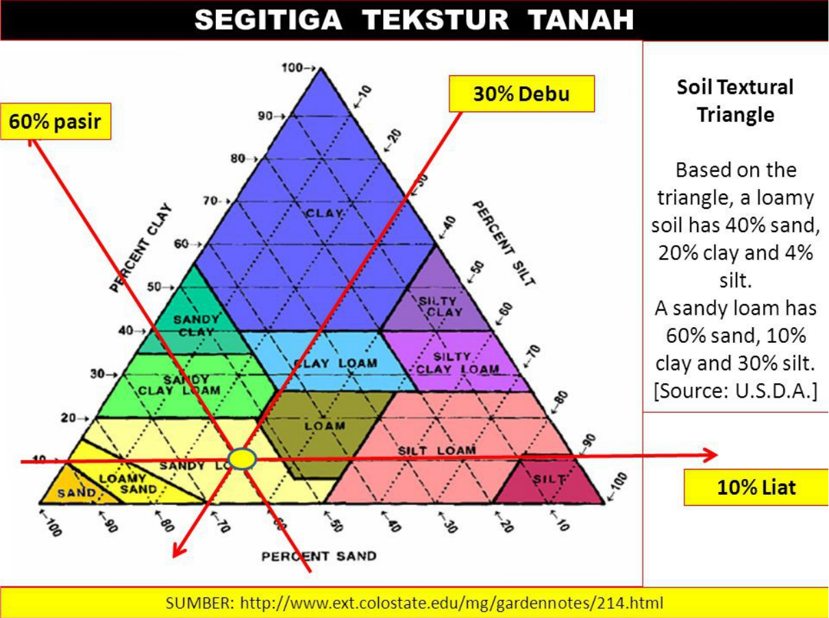 Detail Segitiga Tekstur Usda Nomer 9