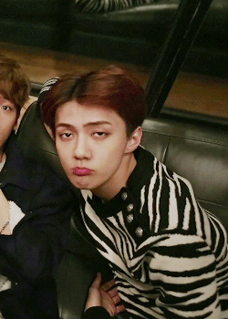 Detail Sehun Exo Next Door Nomer 7