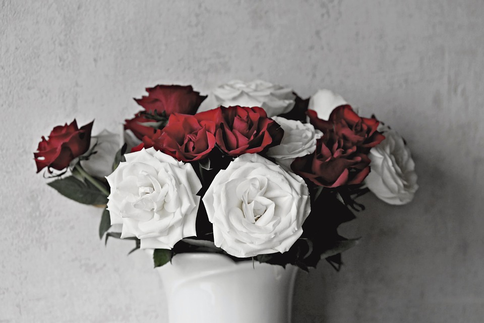Detail Seikat Bunga Mawar Merah Nomer 38