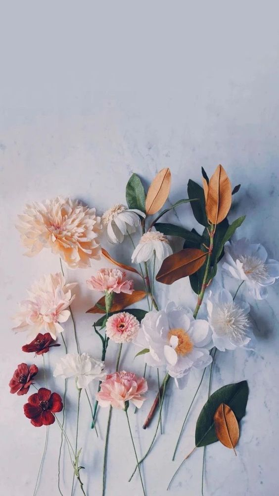 Detail Wallpaper Simple Elegant Nomer 39