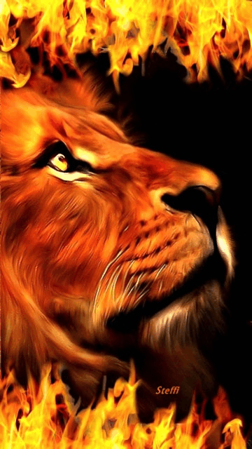Detail Wallpaper Singa Api Nomer 36