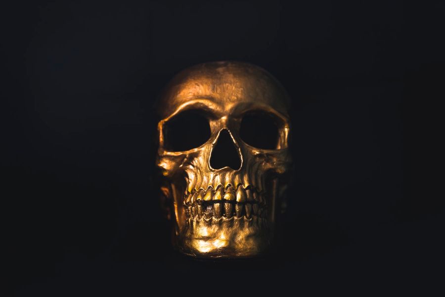 Detail Wallpaper Skull Hd Nomer 17