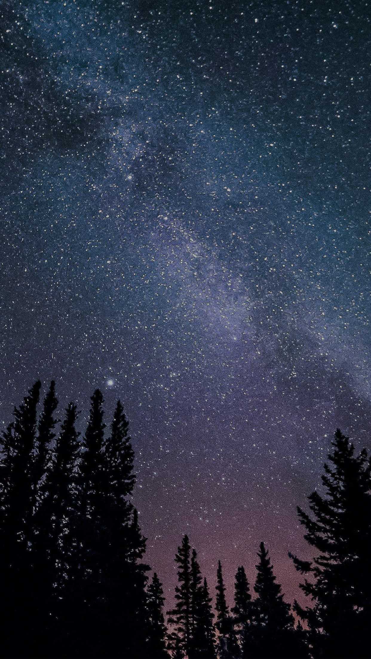 Detail Wallpaper Sky Night Nomer 25