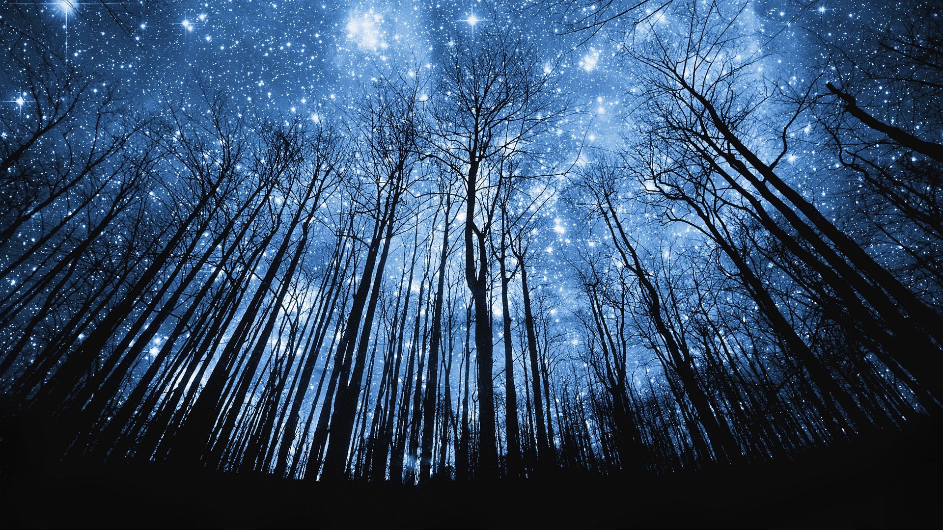 Detail Wallpaper Sky Night Nomer 48