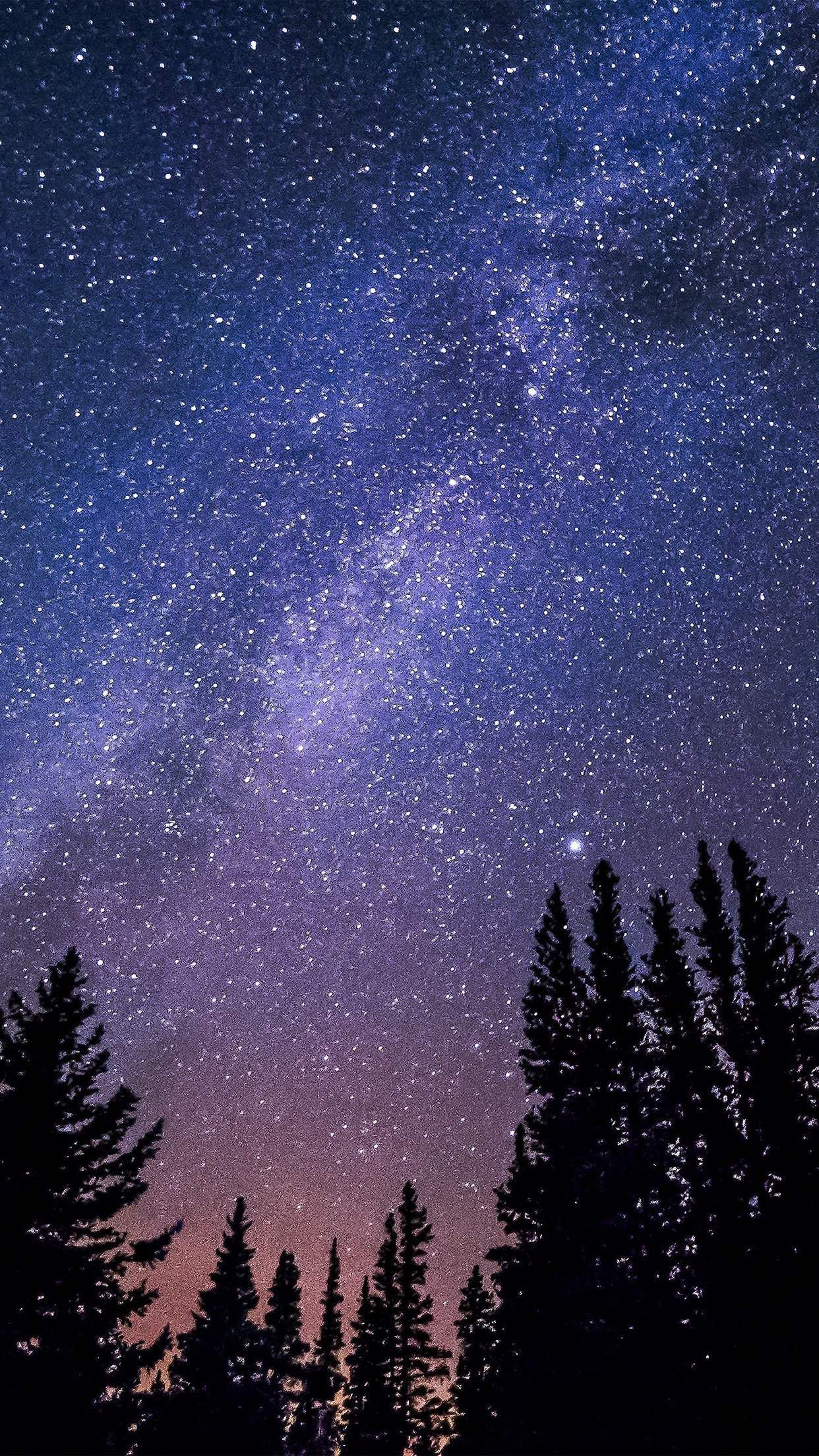 Detail Wallpaper Sky Night Nomer 10