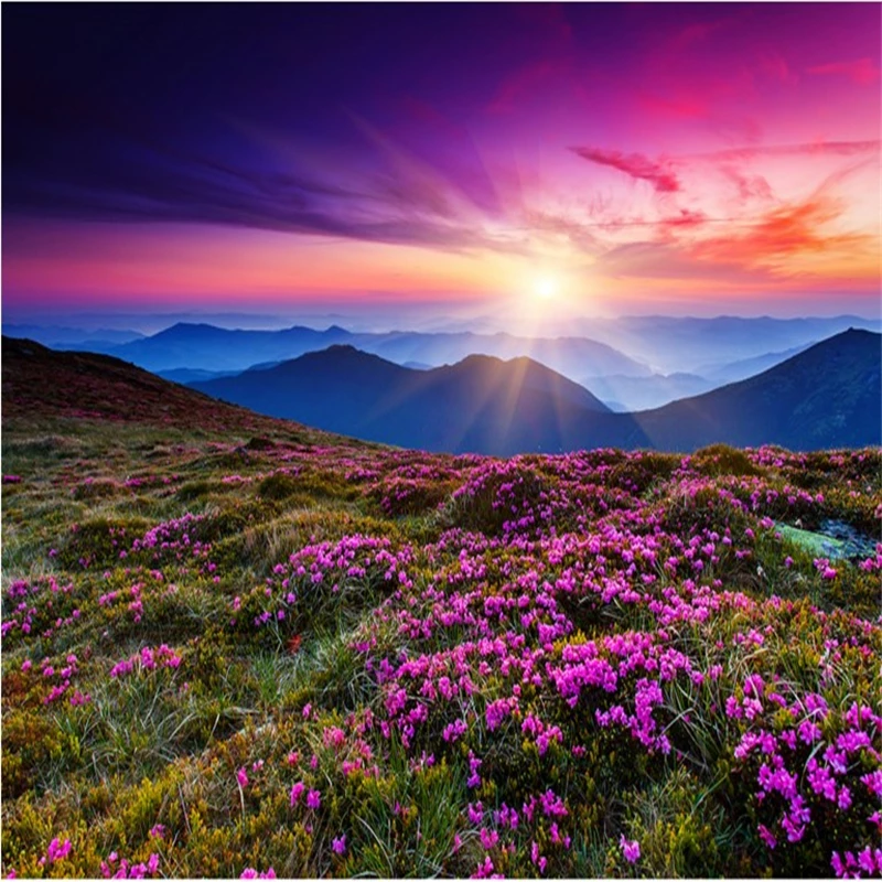 Detail Wallpaper Sunset Romantis Nomer 40