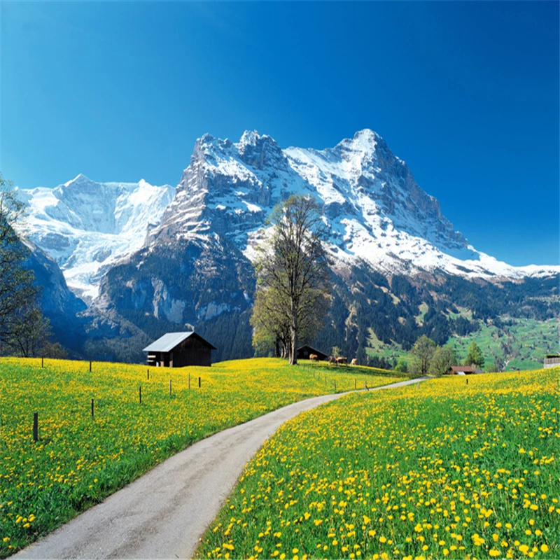 Detail Wallpaper Swiss Nomer 35
