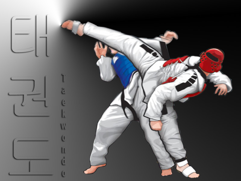 Detail Wallpaper Taekwondo 3d Nomer 11