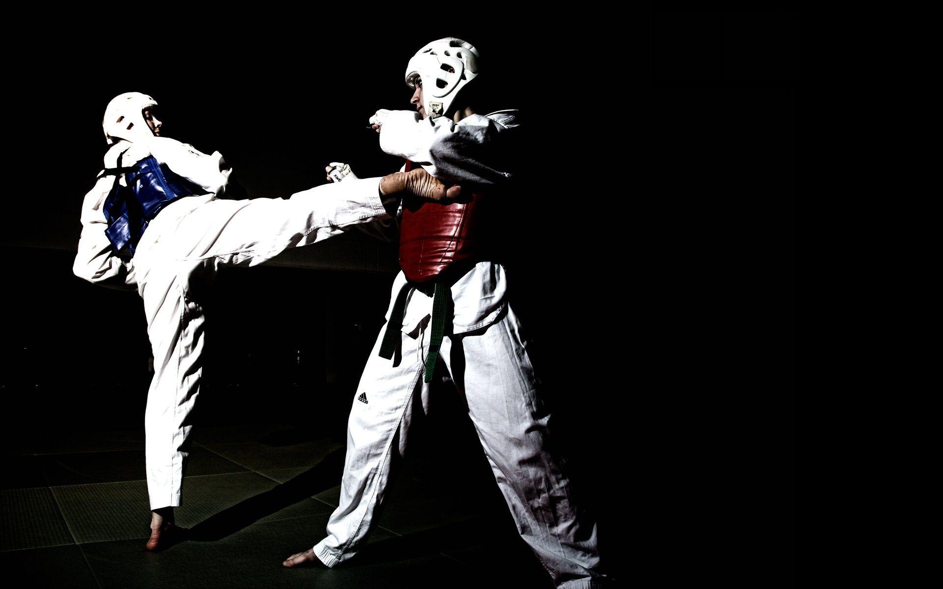 Detail Wallpaper Taekwondo 3d Nomer 16