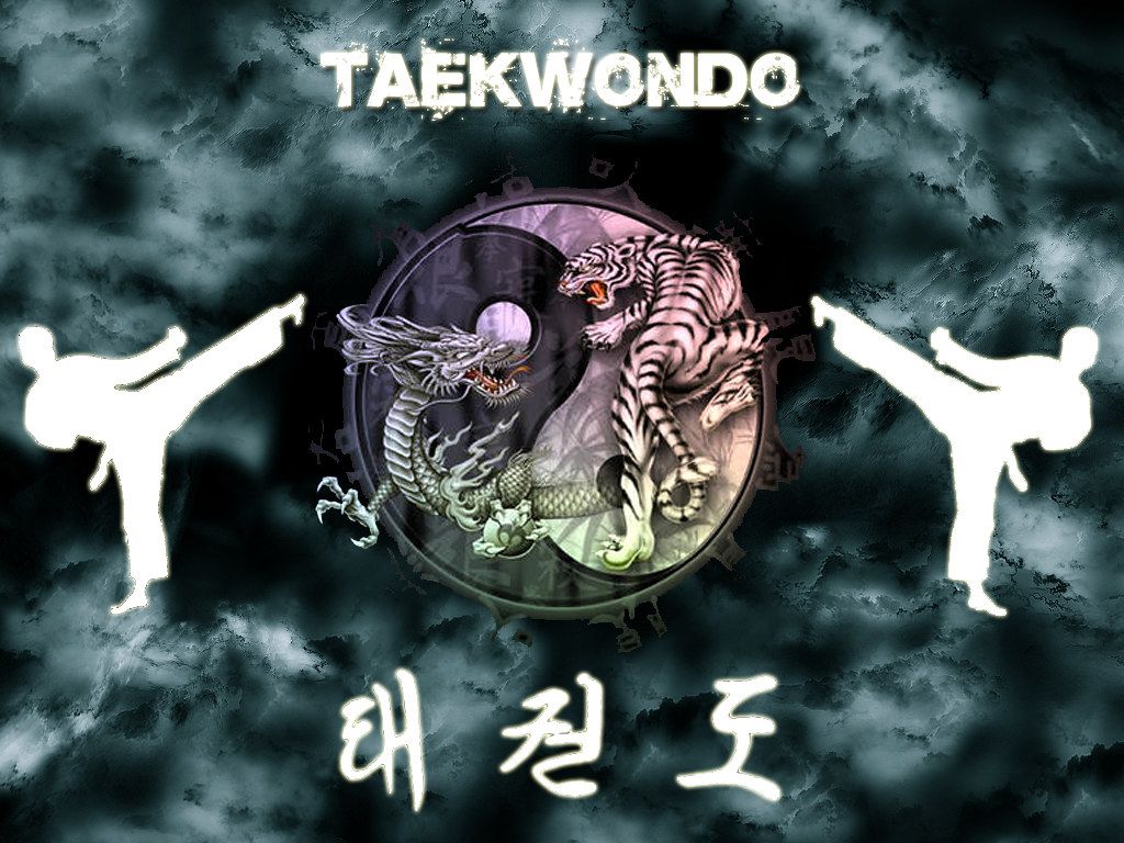 Detail Wallpaper Taekwondo 3d Nomer 19