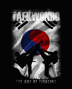 Detail Wallpaper Taekwondo 3d Nomer 24