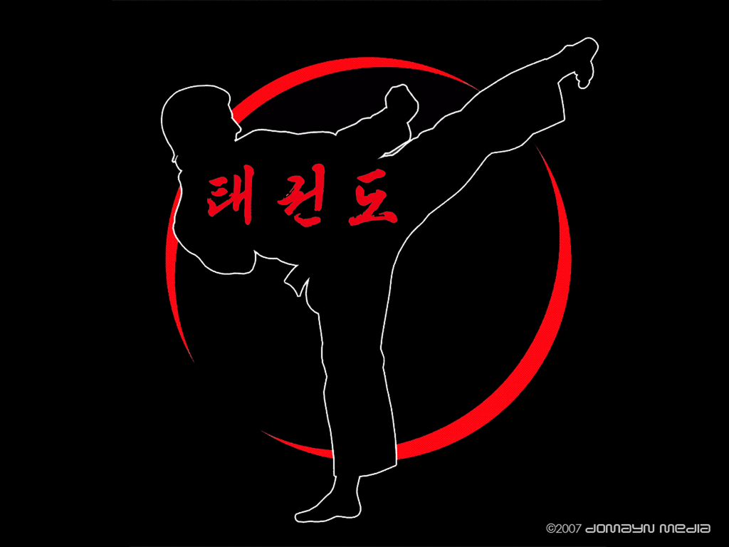 Detail Wallpaper Taekwondo 3d Nomer 6