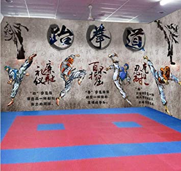 Detail Wallpaper Taekwondo 3d Nomer 54