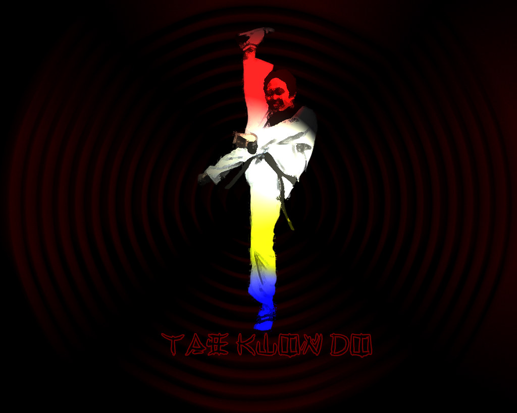 Detail Wallpaper Taekwondo 3d Nomer 56