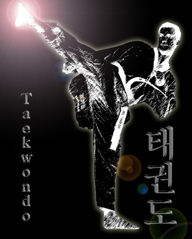 Detail Wallpaper Taekwondo 3d Nomer 9