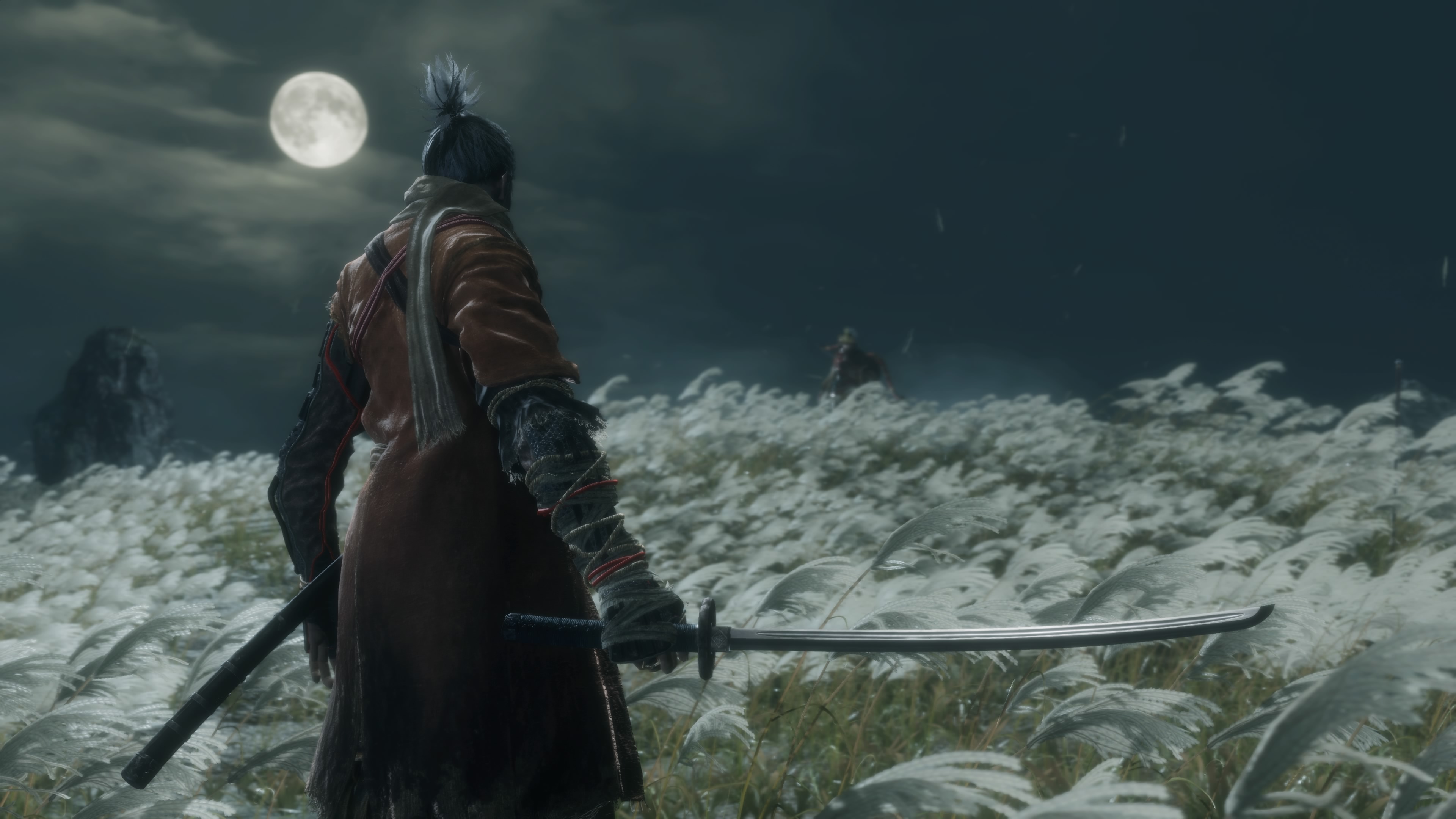 Detail Sekiro Wallpaper 4k Nomer 26