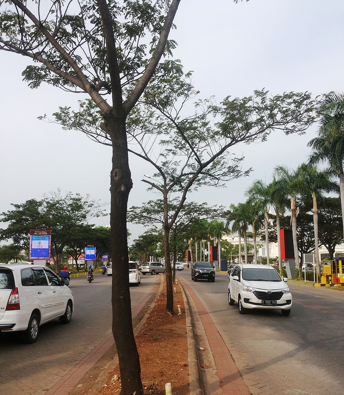 Detail Sekolah Di Pantai Indah Kapuk Nomer 30