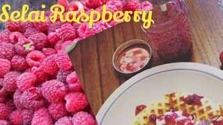 Detail Selai Raspberry Nomer 35