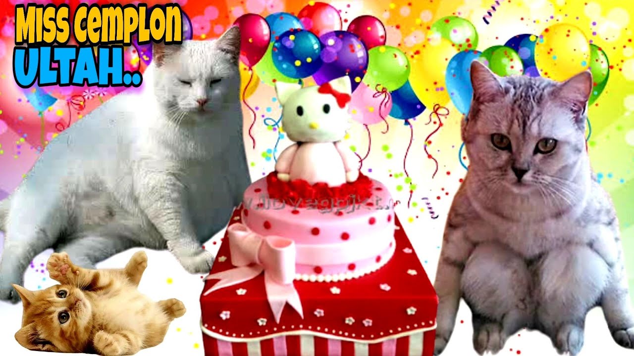 Detail Selamat Ulang Tahun Kucing Nomer 25