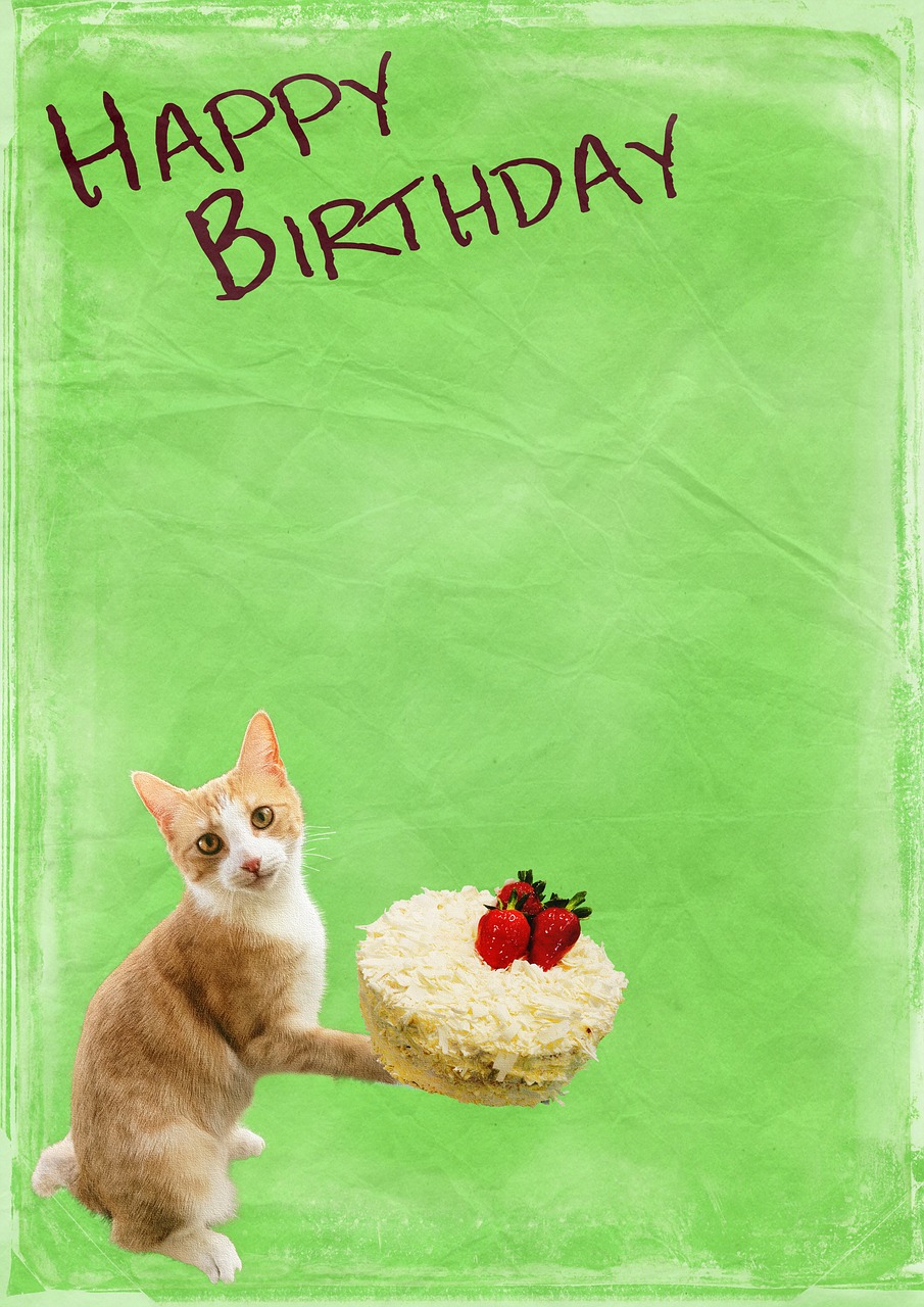 Detail Selamat Ulang Tahun Kucing Nomer 8