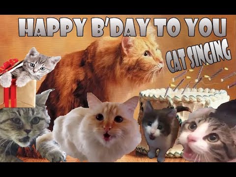 Detail Selamat Ulang Tahun Kucing Nomer 9