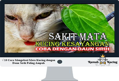 Detail Selaput Mata Kucing Nomer 24