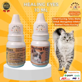 Detail Selaput Mata Kucing Nomer 34