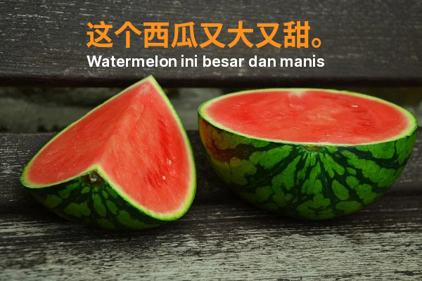 Detail Semangka Gambar Kata Nomer 12