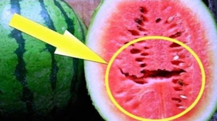 Detail Semangka Gambar Kata Nomer 21