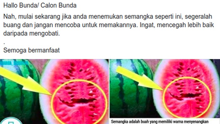 Detail Semangka Gambar Kata Nomer 40