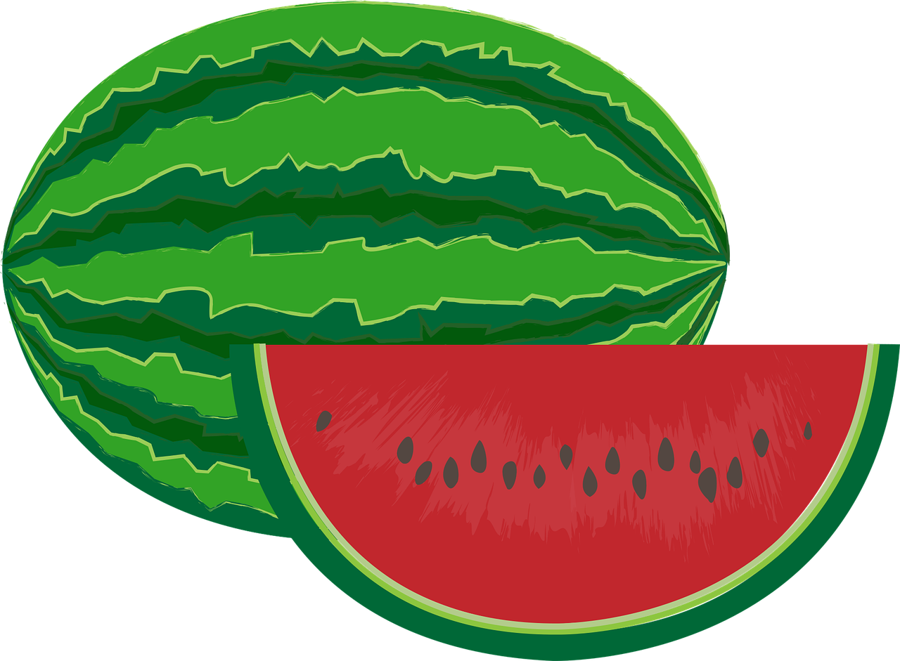 Semangka Vector Png - 57+ Koleksi Gambar