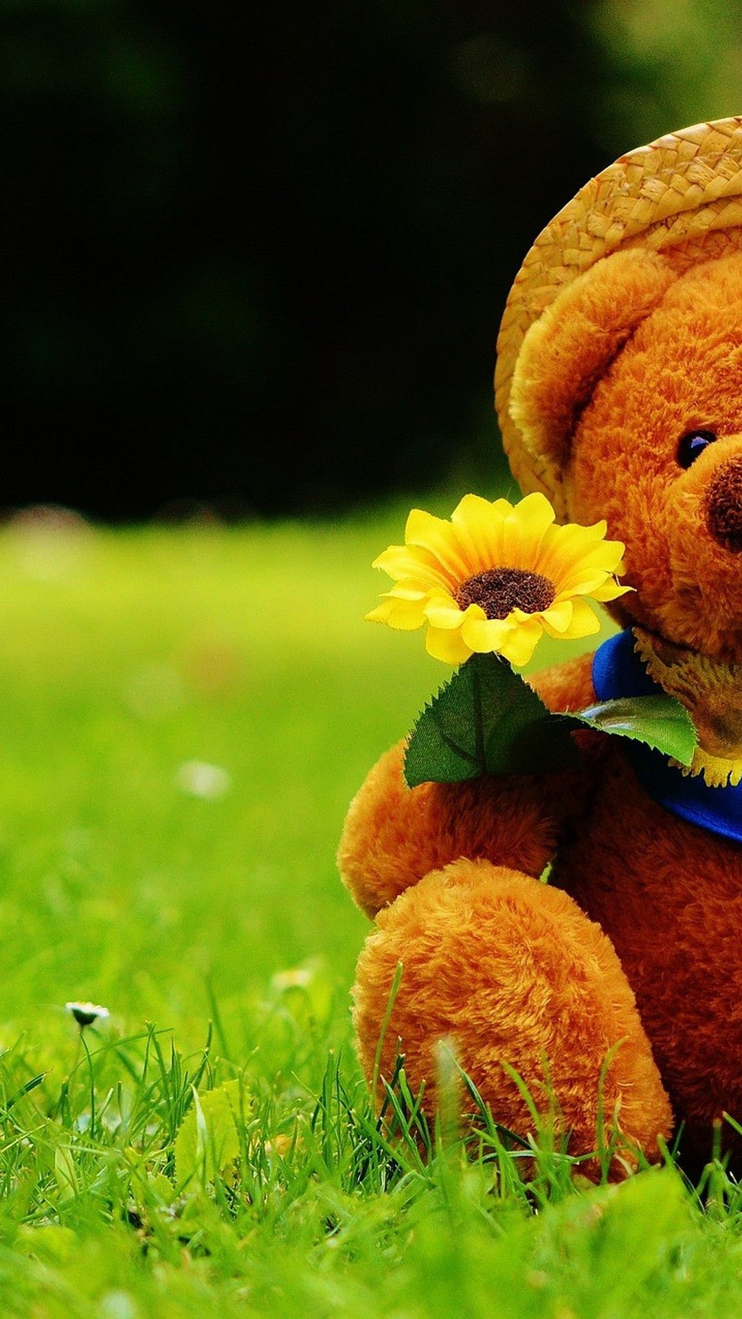 Detail Wallpaper Teddy Bear Hd Nomer 6