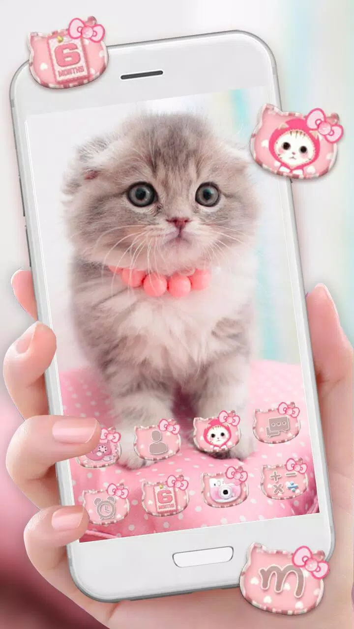Detail Wallpaper Tema Kucing Nomer 15