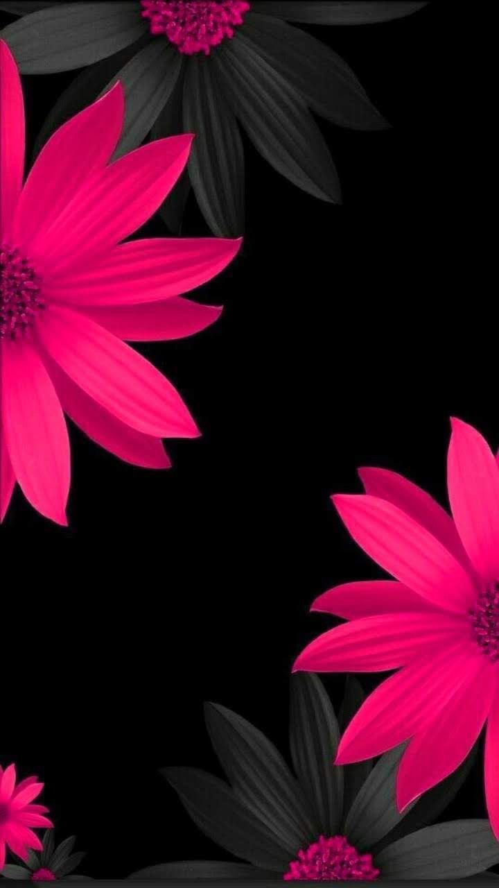 Detail Wallpaper Theme Nomer 2
