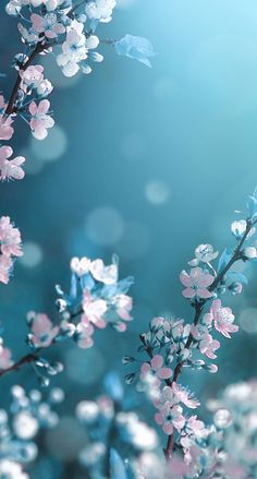 Detail Wallpaper Theme Nomer 3
