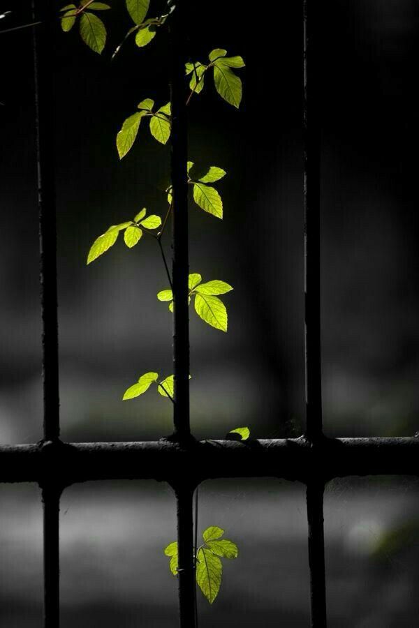 Detail Wallpaper Theme Nomer 39