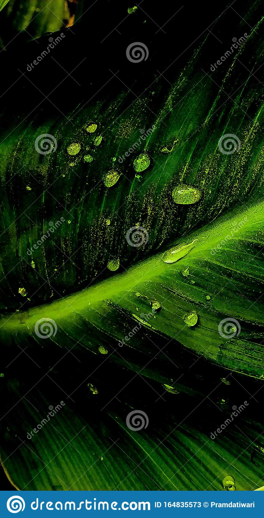 Detail Wallpaper Theme Nomer 44