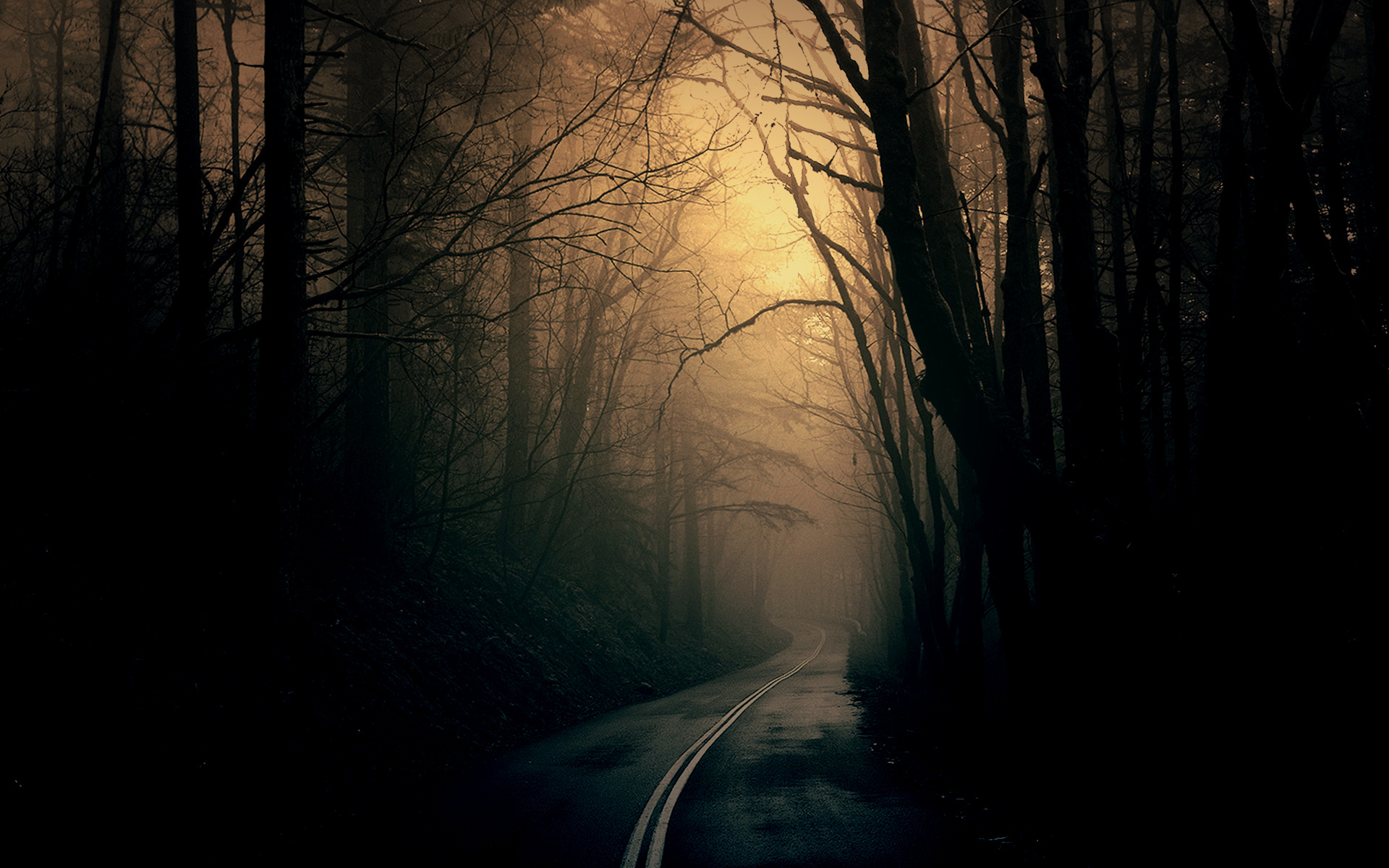 Detail Wallpaper Theme Nomer 53