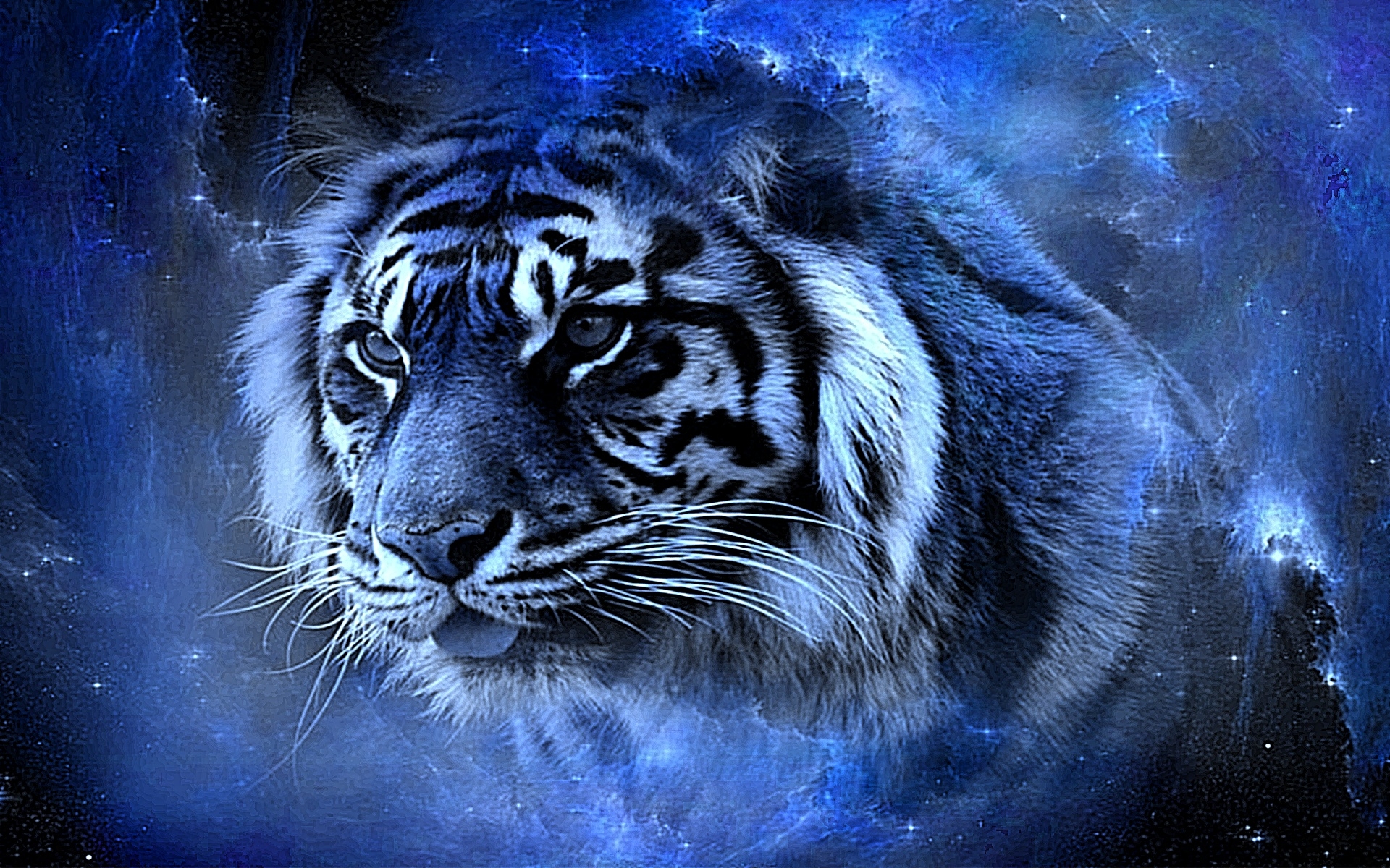 Detail Wallpaper Tiger 3d Nomer 12