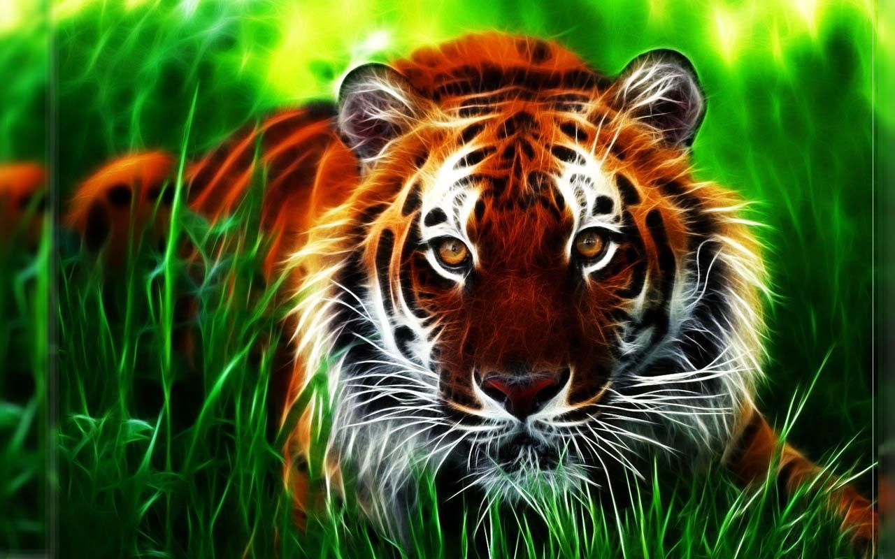 Detail Wallpaper Tiger 3d Nomer 8