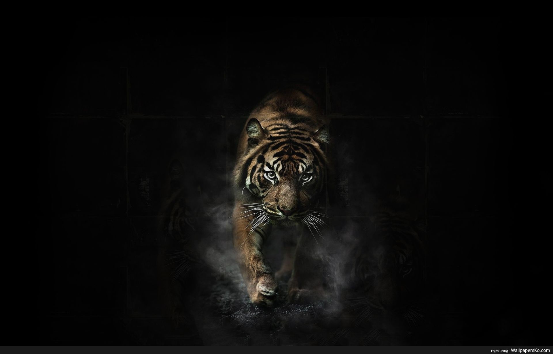 Download Wallpaper Tiger Hd Nomer 3