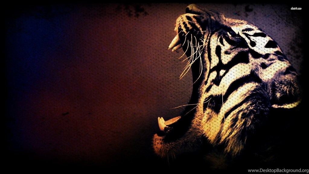 Detail Wallpaper Tiger Hd Nomer 43