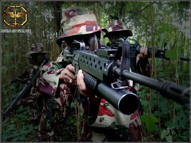 Detail Wallpaper Tni Nomer 35