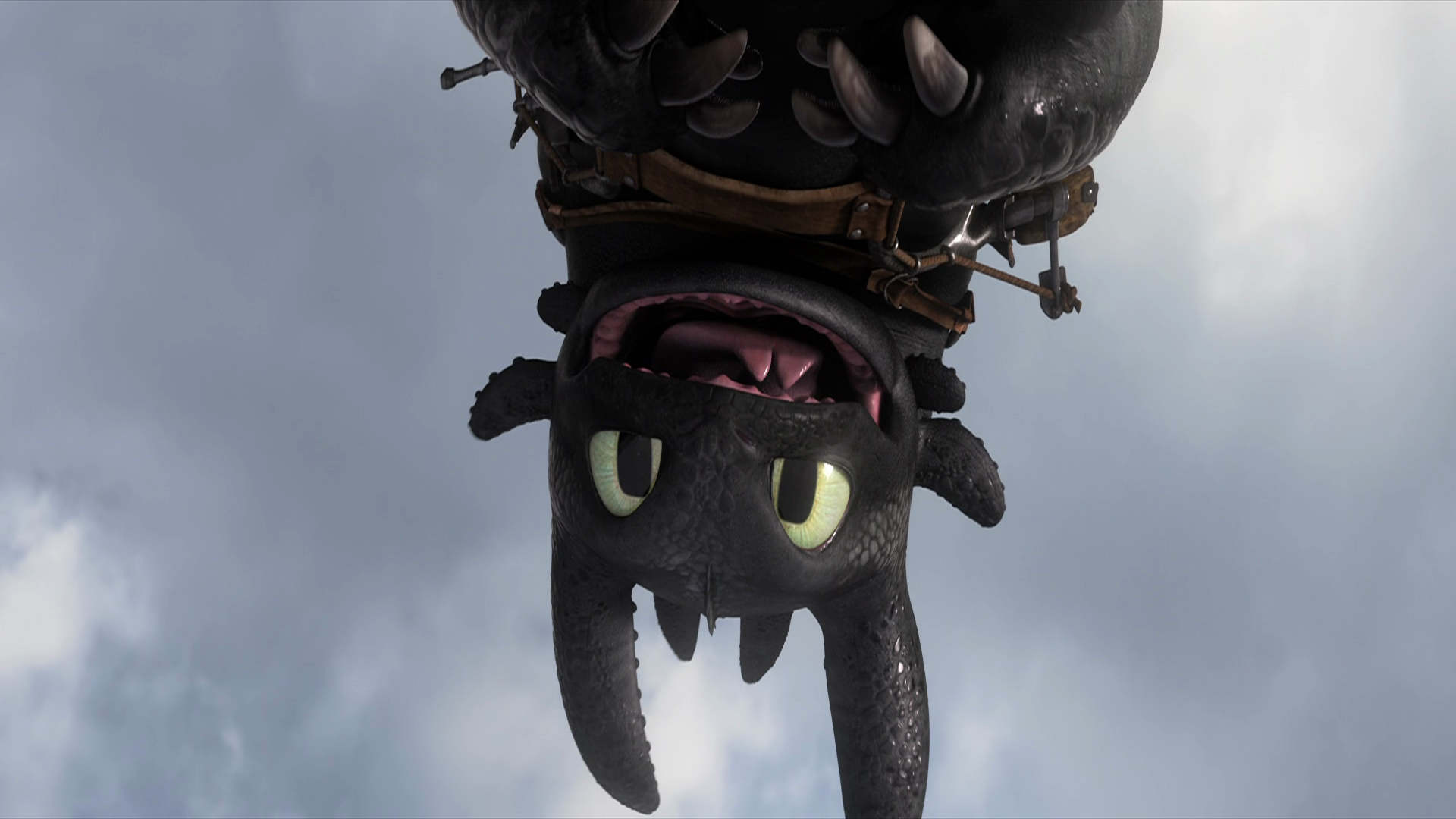 Detail Wallpaper Toothless Nomer 57