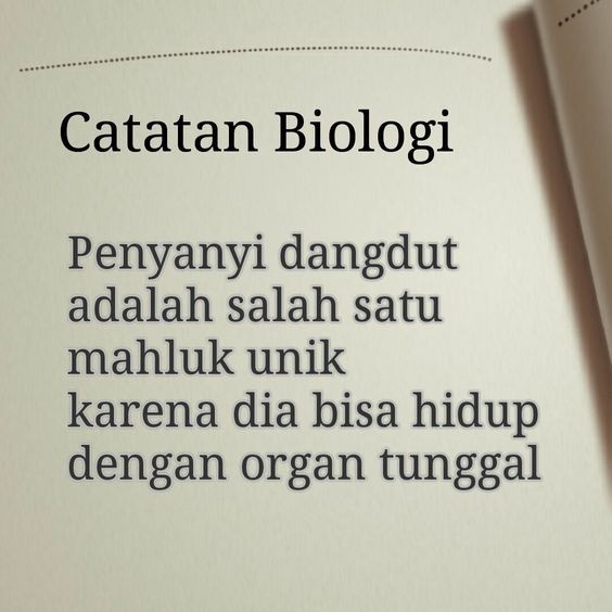 Detail Wallpaper Tulisan Lucu Nomer 55