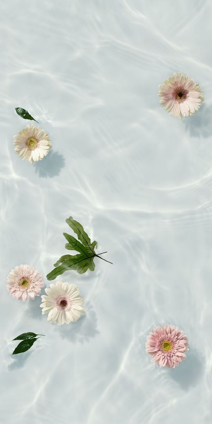 Detail Wallpaper Tumblr Flower For Iphone Nomer 56