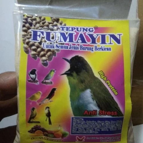 Detail Semua Burung Berkicau Nomer 36