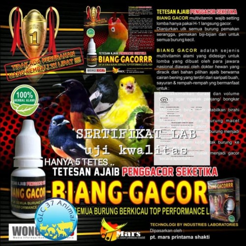 Detail Semua Burung Berkicau Nomer 39